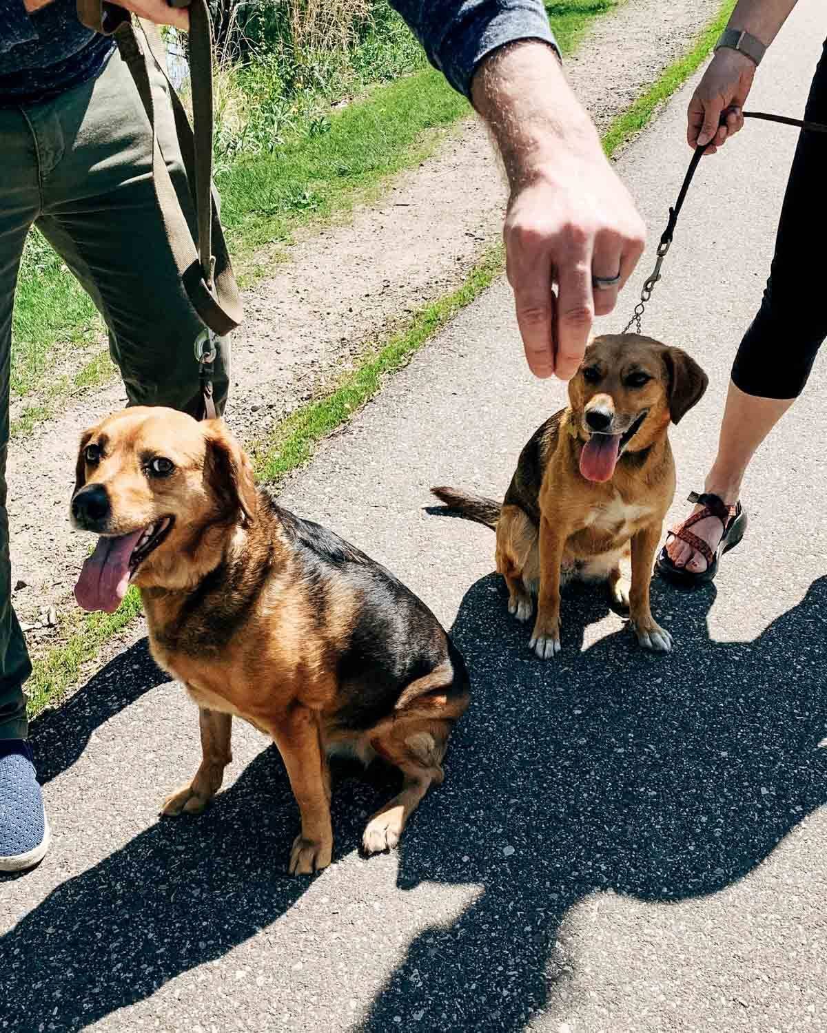 Sage with dog twin.